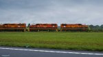 CPDR 2007